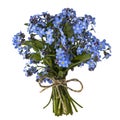 Bouquet of blue forget-me-not, isolated on white background Royalty Free Stock Photo