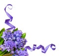 Bouquet of blue hyacinth flowers and leaves with twisted silk ri Royalty Free Stock Photo