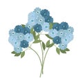 Bouquet of Blue Hydrangea or Viola isolated on white background. Decorative floral design elements. Floral and Interior design