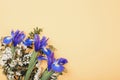 Bouquet of blue iris flowers on light orange background. Holiday concept. Top view, flat lay, copy space Royalty Free Stock Photo