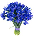 Bouquet of blue irises