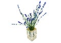 A bouquet of blue lavender flowers in a glass vase Royalty Free Stock Photo