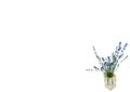 A bouquet of blue lavender flowers in a glass vase Royalty Free Stock Photo