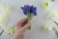 Bouquet of blue Muscari and narcissus. Spring flowers. White background Royalty Free Stock Photo