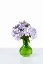 Bouquet of blue phlox in a green glass vase on isolated white table. Royalty Free Stock Photo