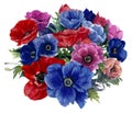 Bouquet of blue, red and pink anemones. Watercolor painting Royalty Free Stock Photo