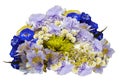 Bouquet of blue-violet-yellow-white flowers on an isolated white background with clipping path. no shadows. Closeup. Roses cloves