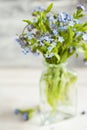 Bouquet of blue wild forget-me-not flowers. Royalty Free Stock Photo