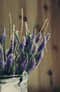 Bouquet of blue wild summer flowers in a metal bucket on a white background Royalty Free Stock Photo