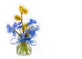 Bouquet of bluebell and a sprig of flowering willow in a glass jar with a bow of blue ribbon on a white background