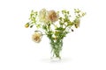 Bouquet from blush orange roses and rue in glass vase isolated with small shadows on a white background Royalty Free Stock Photo