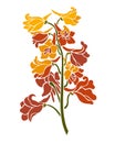 Bouquet branch blooming delphinium. Floral element for design.