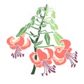Bouquet branch blooming lilies. Floral element for design.