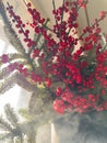 a bouquet of branches with red berries and fir branches in smoke in sunny weather, the rays of the sun through the