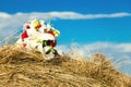 Bouquet bride lies at haystack Royalty Free Stock Photo