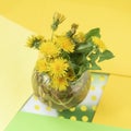 Bouquet of bright colorful yellow dandelions in glass vase, flowers on bright colorful background, concept of spring Royalty Free Stock Photo