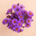 Bouquet of bright cute autumn asters Royalty Free Stock Photo