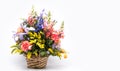 Bouquet of bright flowers in basket isolated on white background. Mothers Day or Valentines Day Concept.  Copy Space Royalty Free Stock Photo