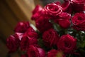 Bouquet of bright red roses Royalty Free Stock Photo