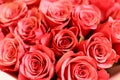 Bouquet of bright red roses.