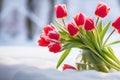 A bouquet of bright red tulips in a jar stands in the snow. Spring flowers. Sudden snowfall Royalty Free Stock Photo