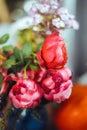 bouquet of bright rose flowers, geraniums in a blue vase on the table Royalty Free Stock Photo