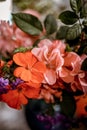 bouquet of bright rose flowers, geraniums in a blue vase on the table Royalty Free Stock Photo