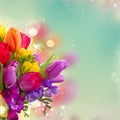 Bouquet of bright spring flowers Royalty Free Stock Photo