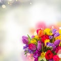 Bouquet of bright spring flowers Royalty Free Stock Photo