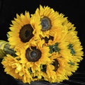 Bouquet of bright sunflowers against black background Royalty Free Stock Photo