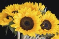 Bouquet of bright sunflowers on a black background Royalty Free Stock Photo