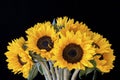 Bouquet of bright sunflowers on a black background Royalty Free Stock Photo