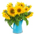 Bouquet of bright sunflowers Royalty Free Stock Photo