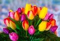 Yellow Daffodil Tulip Flower Bouquet Royalty Free Stock Photo