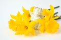 A bouquet of bright yellow daffodils and a figure of a white angel on a white background, space for text