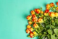 Bouquet of bright yellow-orange roses on turquoise background Royalty Free Stock Photo