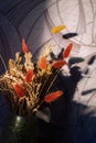 Bouquet of brown spikelets. Still life dry ears in vase in the sun Royalty Free Stock Photo