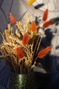 Bouquet of brown spikelets. Still life dry ears in vase in the sun Royalty Free Stock Photo