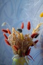 Bouquet of brown spikelets. Still life dry ears in vase in the sun Royalty Free Stock Photo