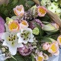 Bouquet of buds of lilies, pink tulips and protea