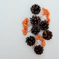 Bouquet of bunches of rowan with pine cones