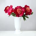 Bouquet of burgundy peonies