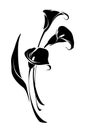 Bouquet of calla lily flowers. Black silhouette of calla flowers. Vector illustration Royalty Free Stock Photo