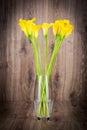 Bouquet of callas