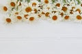 A bouquet of camomiles close-up is located on a white background, top view