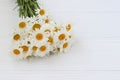 A bouquet of camomiles close-up is located on a white background, top view