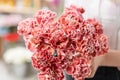 Bouquet of carnation flowers coral and red color. Spring bunch in woman hand. Present for Mothers Day.