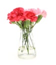 Bouquet of carnation in a glass bottle Royalty Free Stock Photo