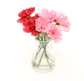 Bouquet of carnation in a glass bottle Royalty Free Stock Photo