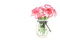 Bouquet of carnation in a glass bottle Royalty Free Stock Photo